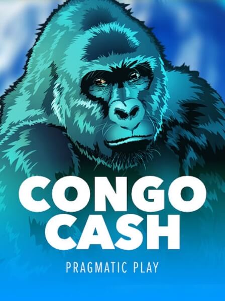 A Comprehensive Review of PrimeCasino’s Features and Offerings